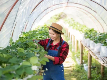 6 Tips dan Manfaat Berkebun di Rumah, Cocok untuk Pemula