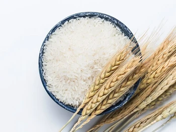 4 Aturan Makan Nasi untuk Diet Sehat Agar Berat Badan Turun