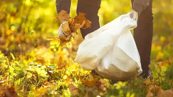 10 Ways to Keep the Environment Clean and Stay Healthy