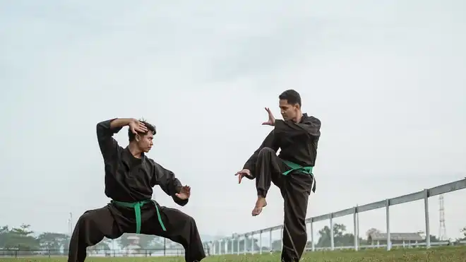 Mengenal Pencak Silat: Sejarah, Teknik Dasar, dan Manfaatnya