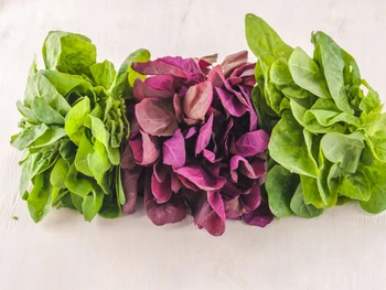 10 Benefits of Red Spinach for Health to Prevent Anemia
