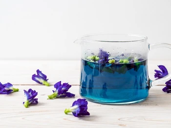 4 Healthy Recipes on How to Make Butterfly Pea Tea