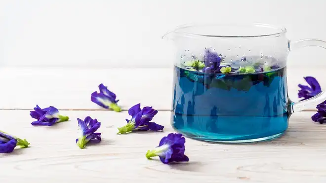 4 Healthy Recipes on How to Make Butterfly Pea Tea