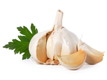 Cara Mengonsumsi Bawang Putih yang Aman, Mentah maupun Dimasak