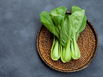 5 Manfaat Sayur Pakcoy untuk Kesehatan Tubuh, Bernutrisi!