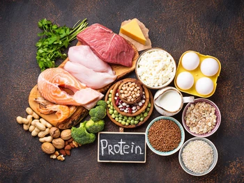 9 Animal Protein Sources That Support Healthy Body Functions