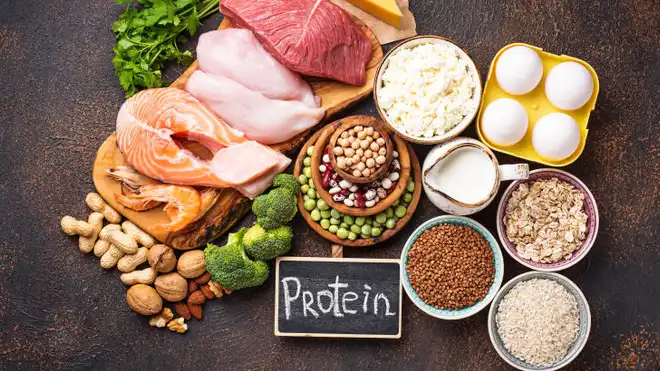 9 Animal Protein Sources That Support Healthy Body Functions
