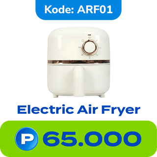 Electric Air Fryer