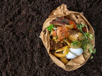 7 Cara Membuat Pupuk Kompos yang Praktis dari Sampah Organik
