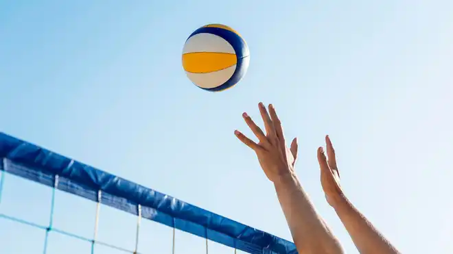How Many Players Are on a Volleyball Team? Positions and Roles