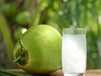 Manfaat Air Kelapa untuk Ibu Hamil dan Aturan Minumnya