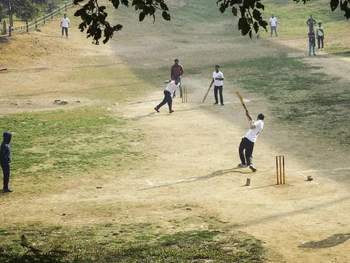 Cricket: History, Rules, Benefits, and How to Play