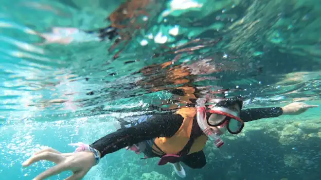 Mengenal Snorkeling dan Cara Melakukannya untuk Pemula